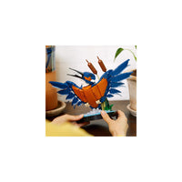 مجموعة بناء طائر الرفراف من ليجو® آيكونز ١٠٣٣١