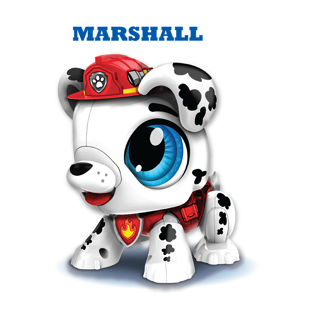 Build a Bot Build A Bot Paw Patrol - Marshall