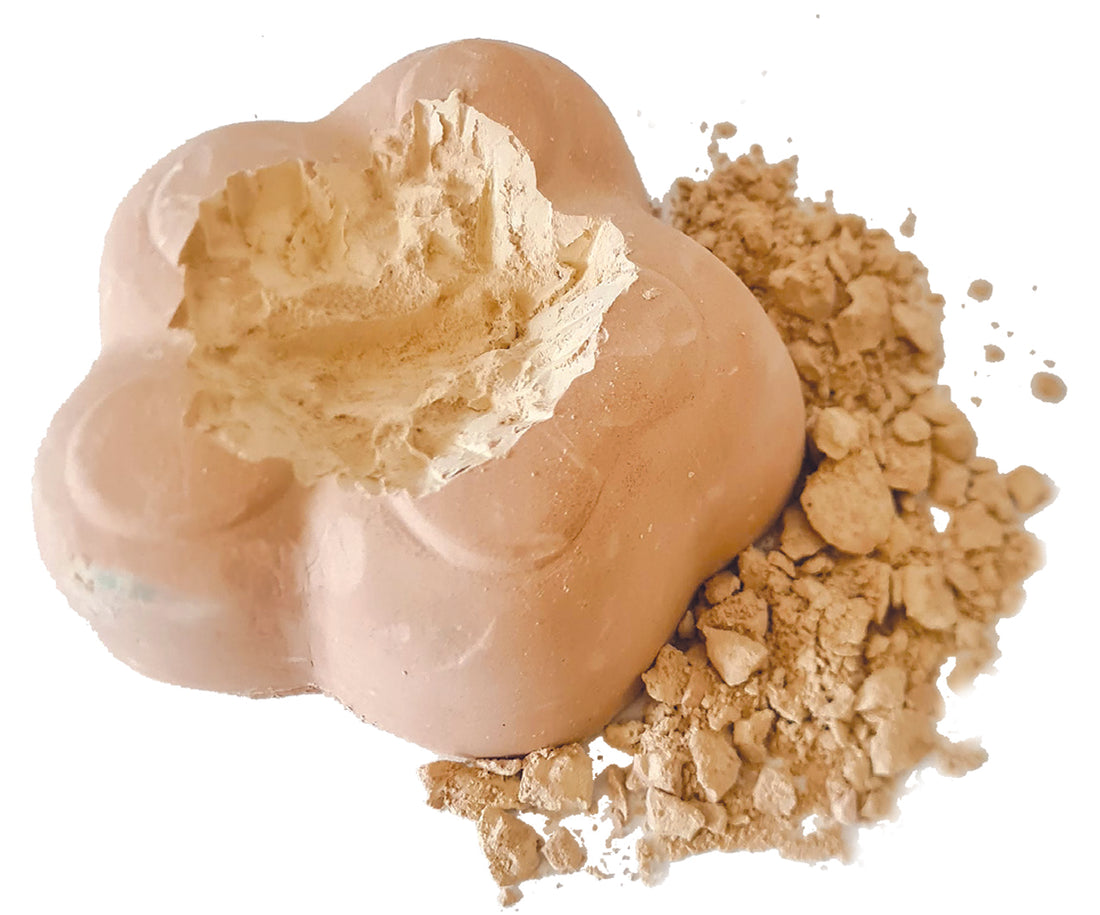 Paw Patrol Treasure Hunt