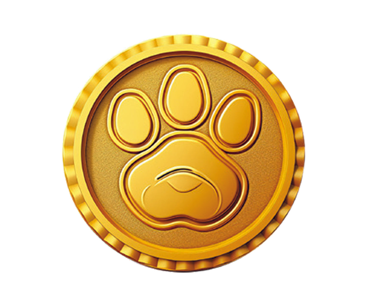 Paw Patrol Treasure Hunt