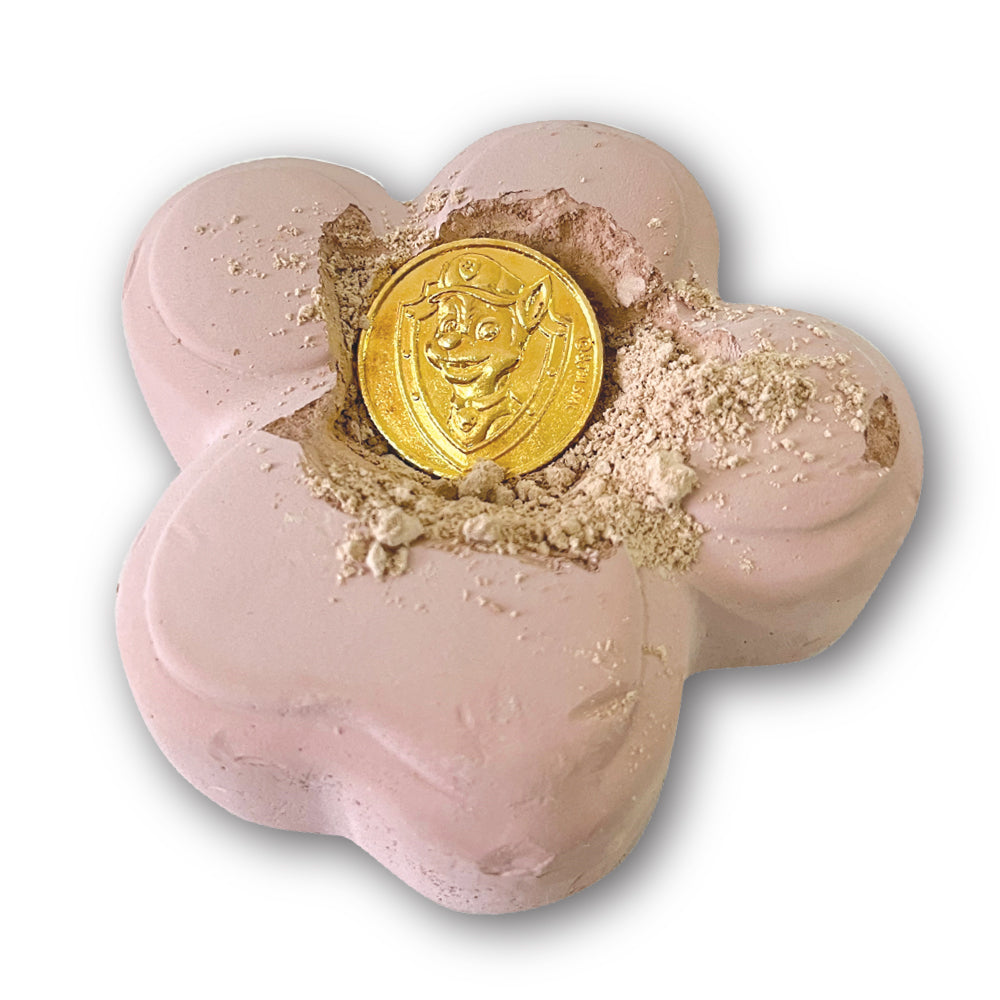 Paw Patrol Treasure Hunt