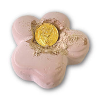 Paw Patrol Treasure Hunt