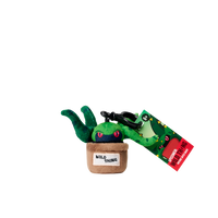 Plantz 4.5inch assorted S1