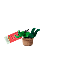 Plantz 4.5inch assorted S1