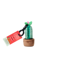 Plantz 4.5inch assorted S1