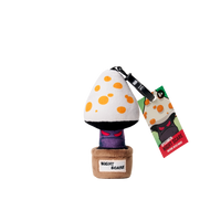 Plantz 4.5inch assorted S1