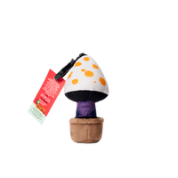 Plantz 4.5inch assorted S1