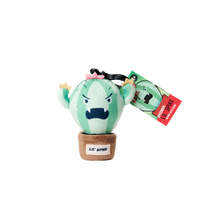 Plantz 4.5inch assorted S1