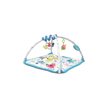 4 in 1 Baby Gymini Set