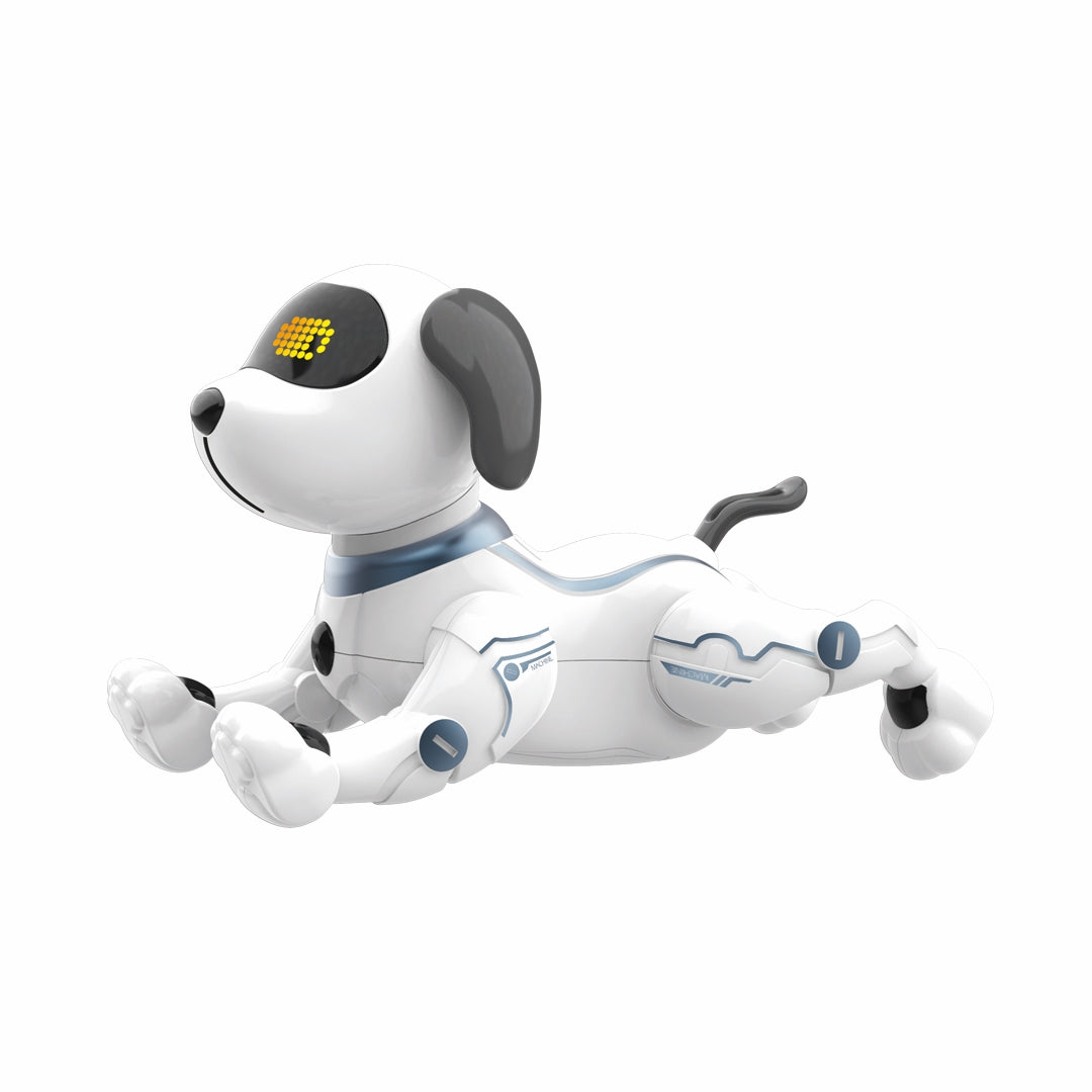 NewBoy Robot Programming Stunt Smart Dog