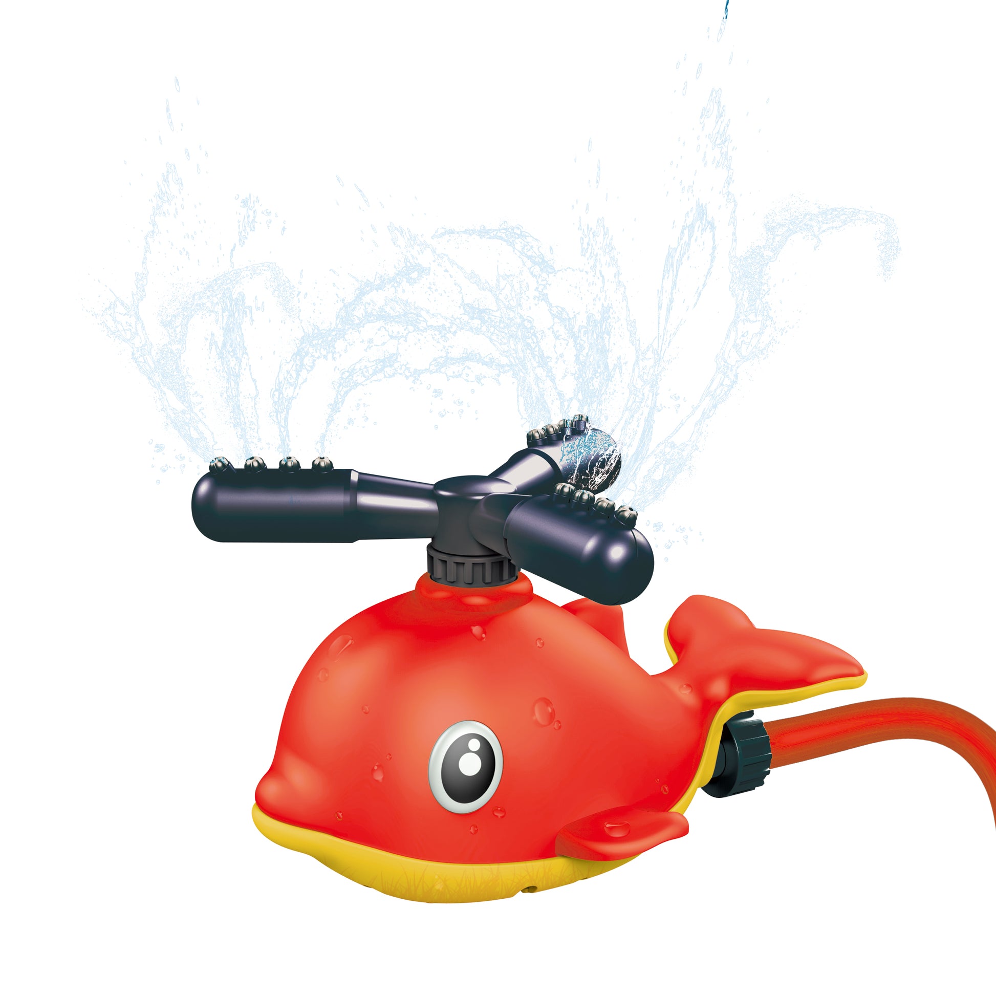 New Boy Aqua Dolph Splash