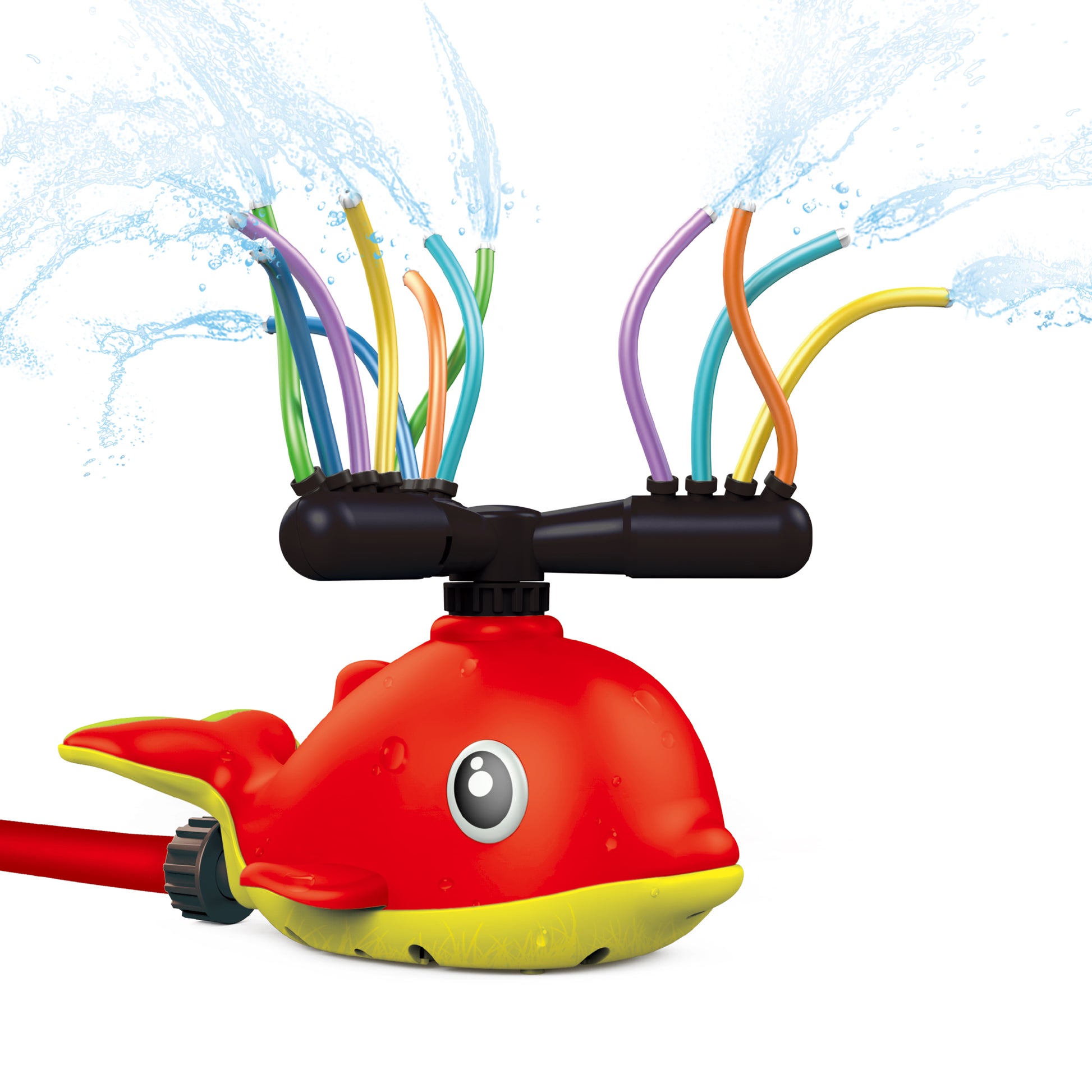 New Boy Aqua Dolph Splash