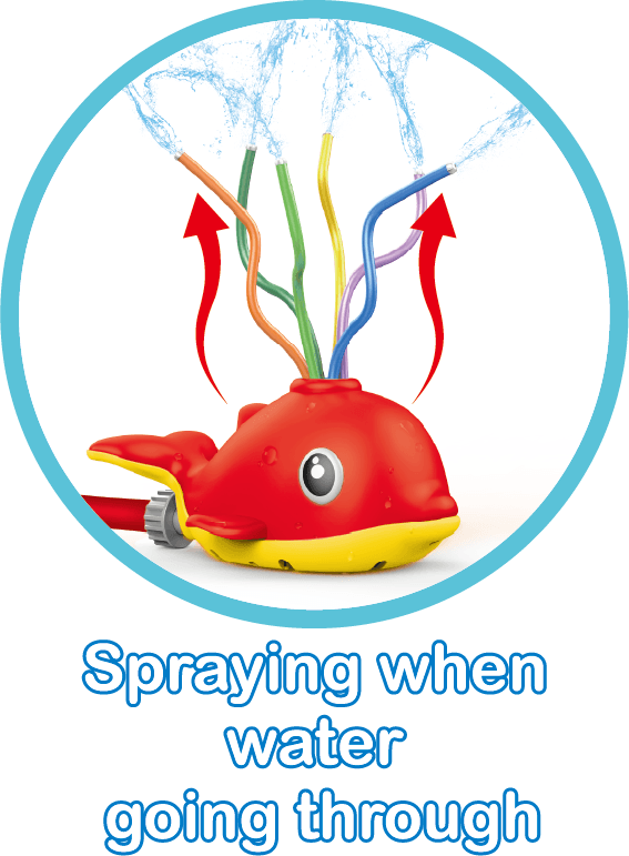 New Boy Aqua Dolph Splash