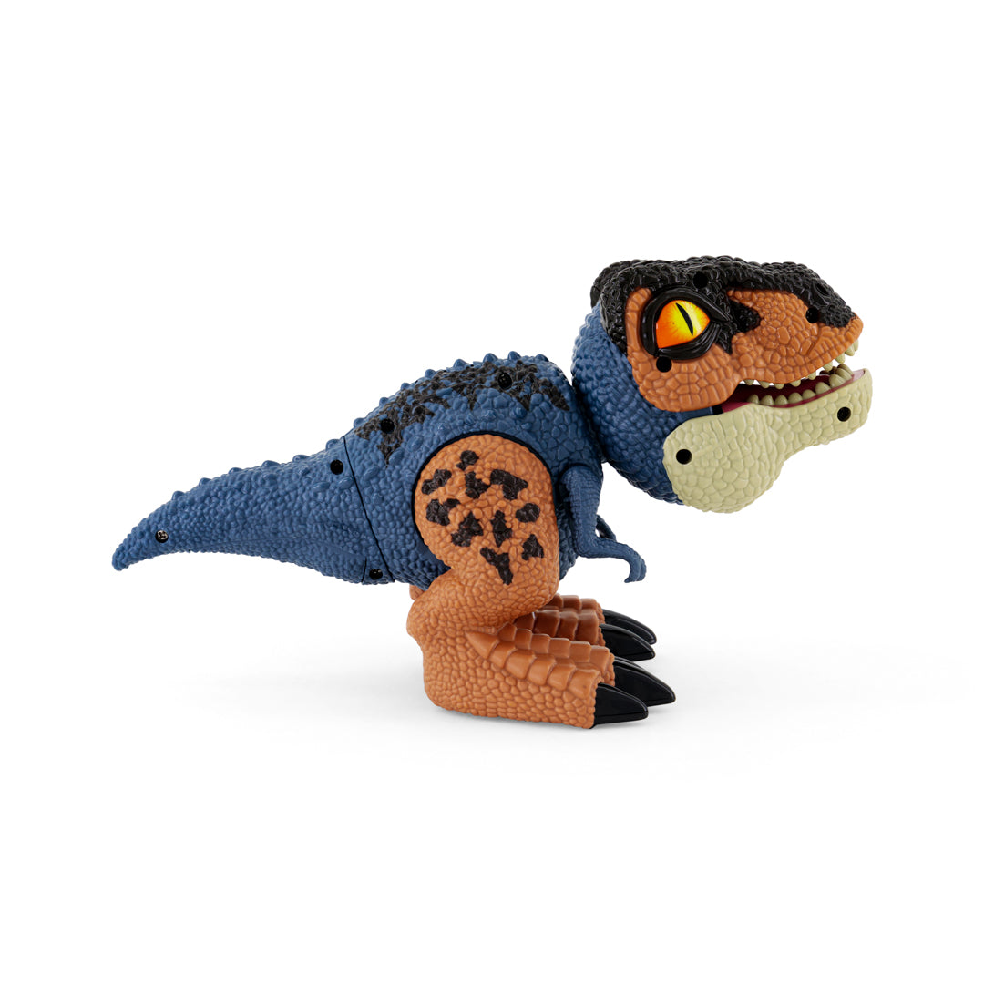 New Boy Dinosaurs Assorted