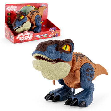 New Boy Dinosaurs Assorted