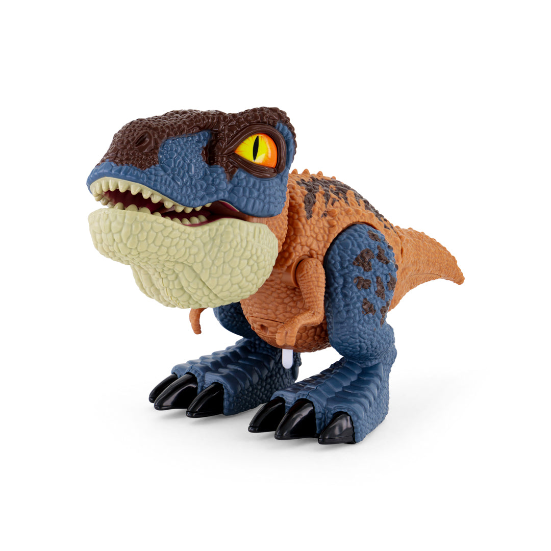 New Boy Dinosaurs Assorted