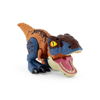 New Boy Dinosaurs Assorted