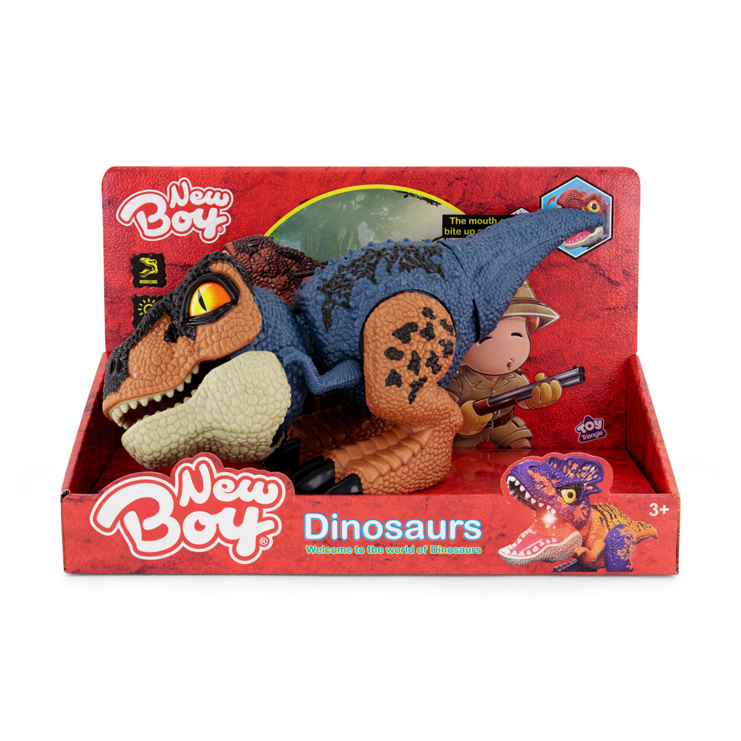 New Boy Dinosaurs Assorted
