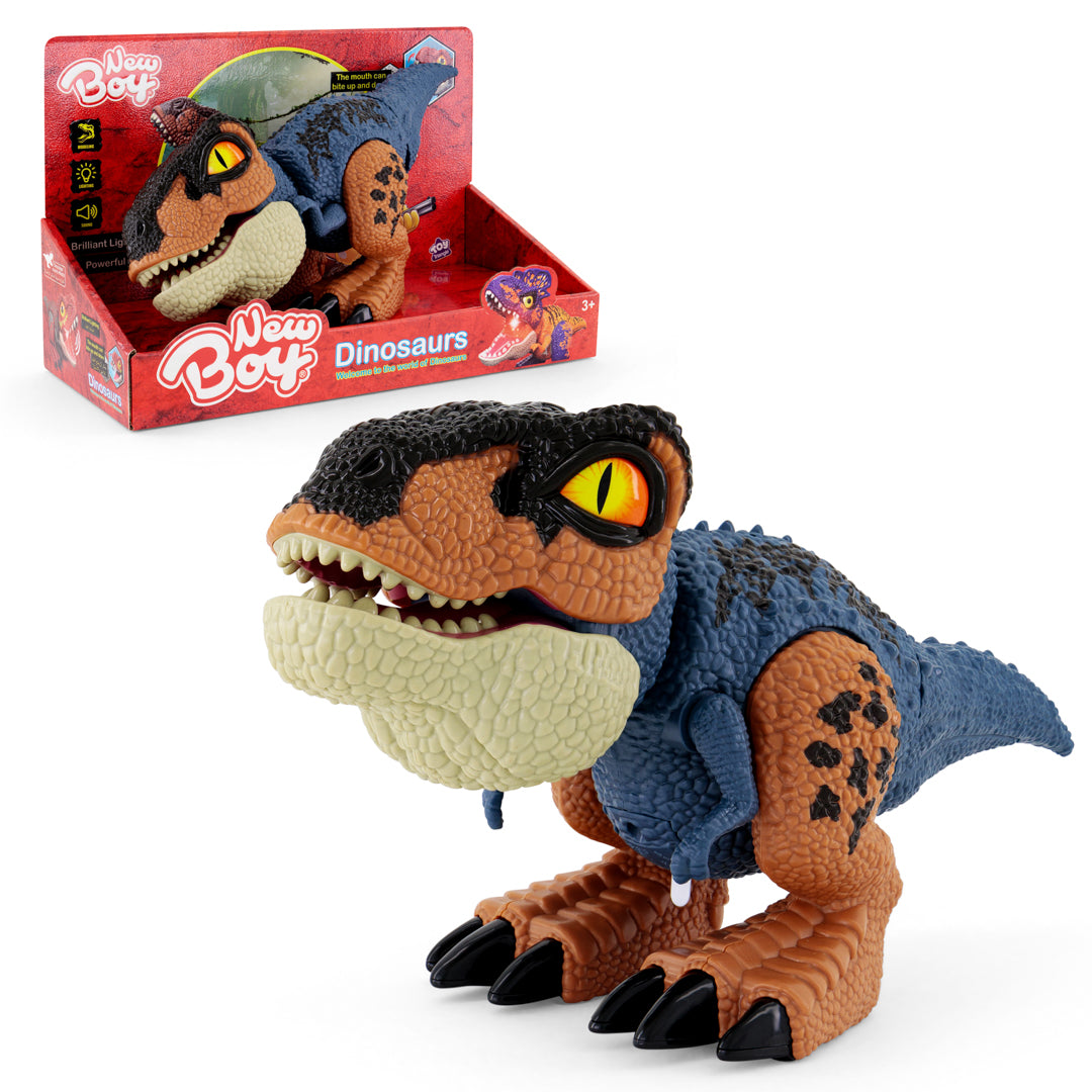 New Boy Dinosaurs Assorted