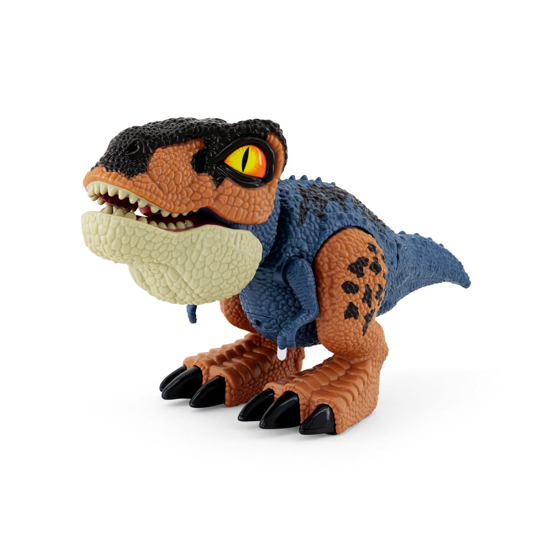 New Boy Dinosaurs Assorted