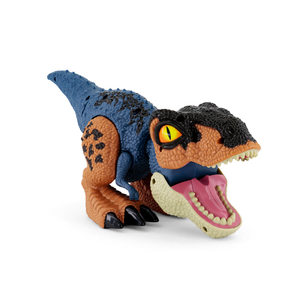 New Boy Dinosaurs Assorted