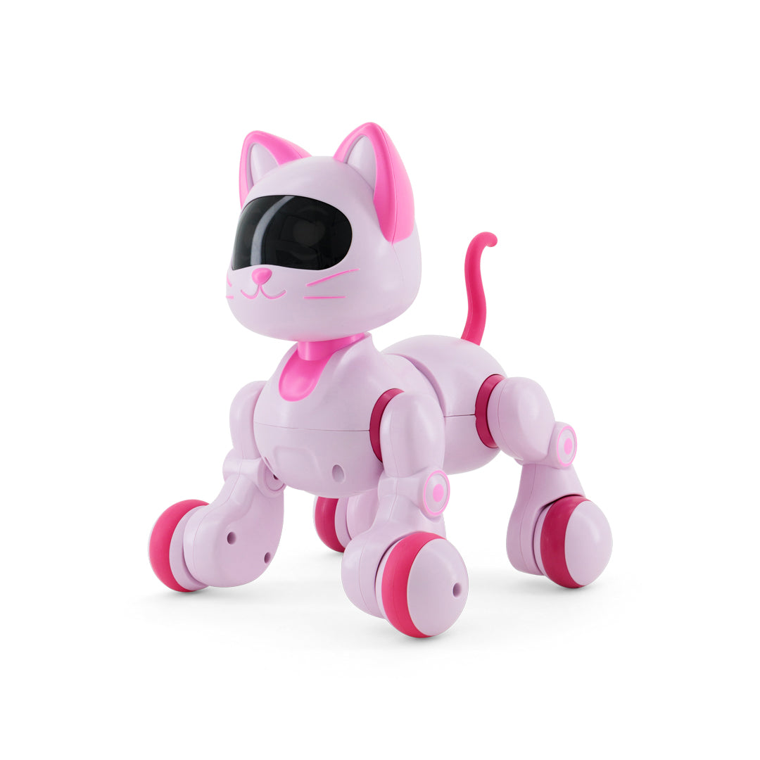 New Girl Happy Kitten