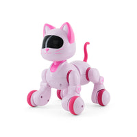 New Girl Happy Kitten