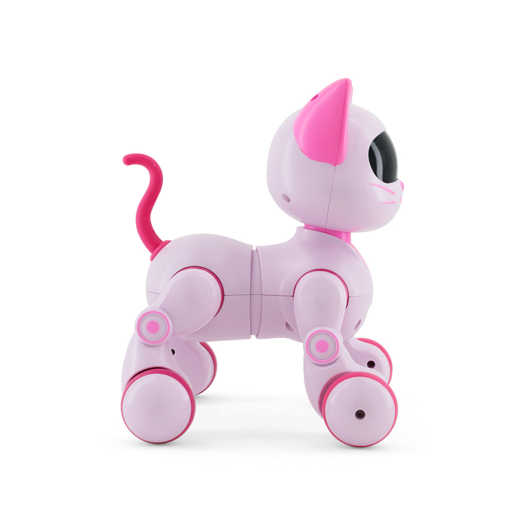 New Girl Happy Kitten