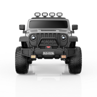 DLS-X15b Off-Road R/C 12V (Grey)