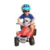 Rollplay Atv Mini Quad, 6V