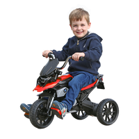 Rollplay BMW R 1200 GS MOTOR TRIKE