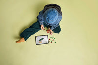 LEGO 76970 Baby Dinosaur Dolores: Aquilops